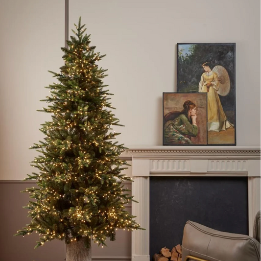 PRE-ORDINE EDG Enzo de Gasperi Albero di Natale Pino Luxury New 180 cm con 2000 mini led D100