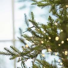 PRE-ORDINE EDG Enzo de Gasperi Albero di Natale Pino Luxury 240 cm con 5000 mini led D152