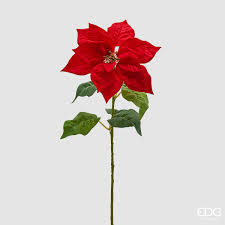 EDG ENZO DE GASPERI Ramo Stella Natale con Foglie H.70 D.25 Rosso