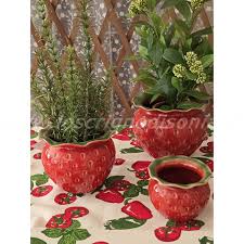 EDG Enzo De Gasperi Vaso Freaky Fragola x3 H14 green red