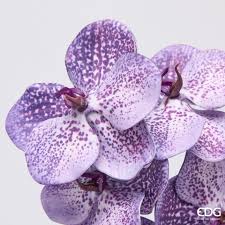 EDG Enzo De Gasperi Ramo Artificiale di Orchidea Vanda H65 cm Viola
