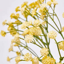 EDG Ramo Gypsophila cespuglio artificiale H40 cm 4 varianti(1pz)