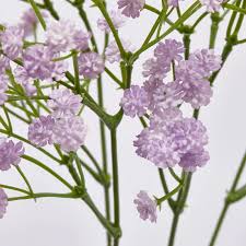 EDG Ramo Gypsophila cespuglio artificiale H40 cm 4 varianti(1pz)