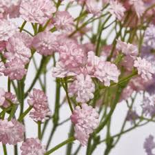 EDG Ramo Gypsophila cespuglio artificiale H40 cm 4 varianti(1pz)