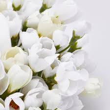 EDG Enzo De Gasperi Portacandela Corona Crocus-Mix D 13 Cm Int. 3,5 Cm Bianco