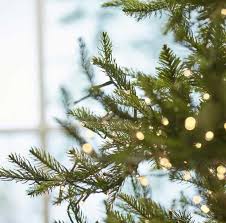 EDG Enzo de Gasperi Albero di Natale Pino Luxury 210 cm con 4000 mini led D142