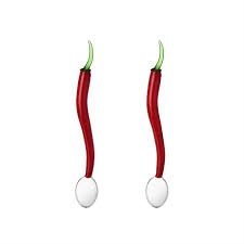 Ichendorf set 2 cucchiaini peperoncino Vegetables H15cm