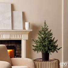 EDG Enzo De Gasperi Pino Argentato Verde H60 cm con Vaso