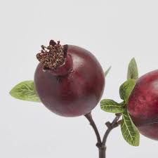 EDG Enzo De Gasperi | Melograno con foglie e ramo H33 Borgogna