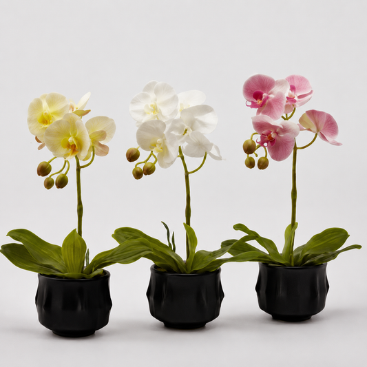 EDG Enzo De Gasperi Orchidea Artificiale H 40 Cm Ass. Bianca o Gialla o Fuxia 1 Pz
