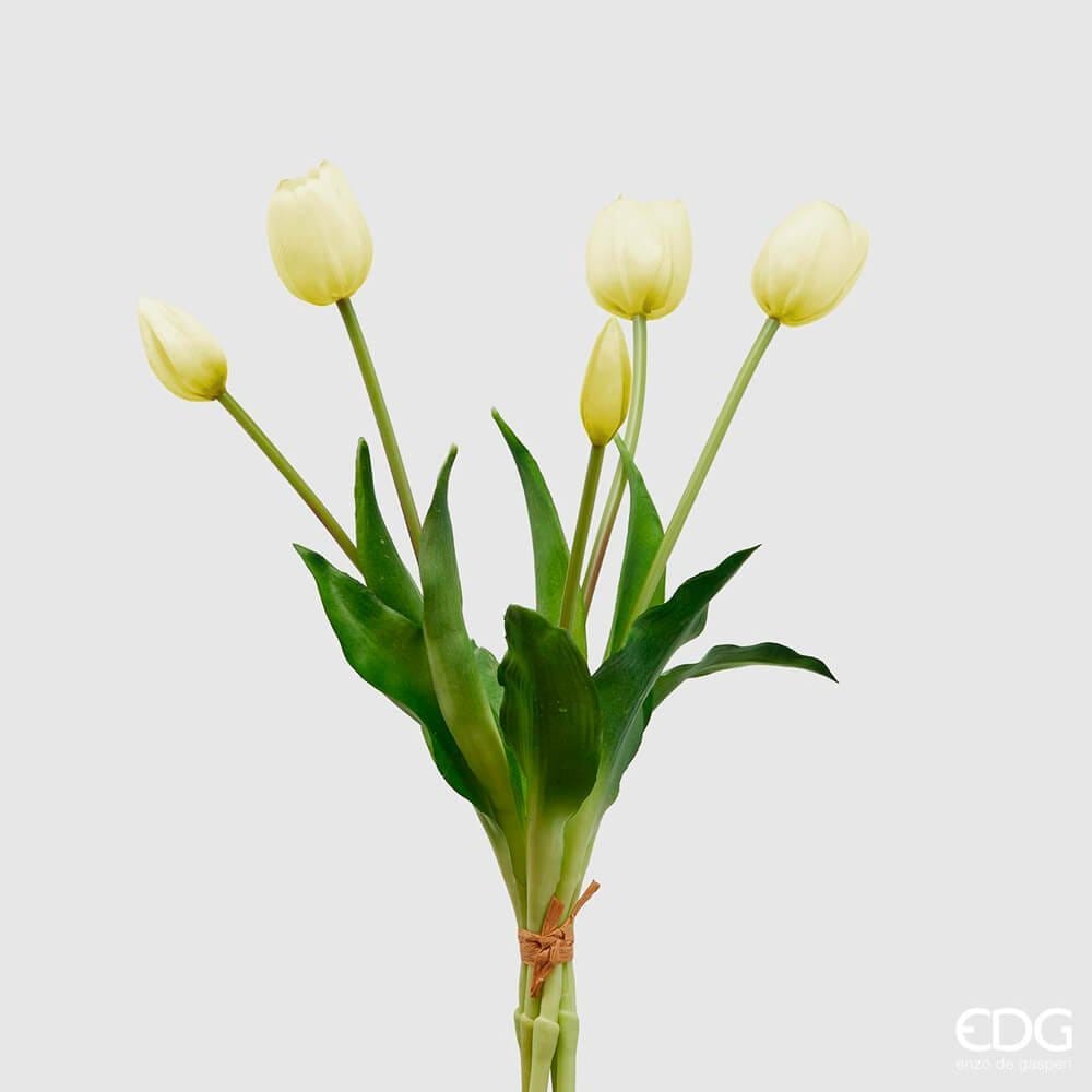 EDG Enzo De Gasperi Bouquet 5 Tulipani Olis Bianchi H 40 cm