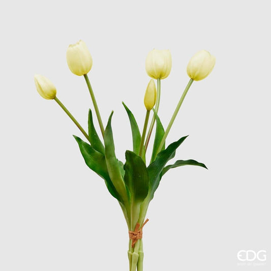 EDG Enzo De Gasperi Bouquet 5 Tulipani Olis Champagne H 40 cm