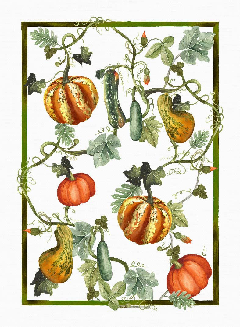 TESSITURA TOSCANA TELERIE KURBIS CANOVACCIO DA CUCINA DI LINO ZUCCHE