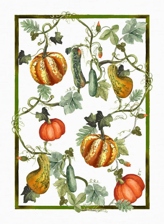 TESSITURA TOSCANA TELERIE KURBIS CANOVACCIO DA CUCINA DI LINO ZUCCHE