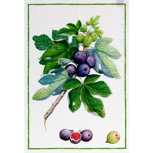 Tessitura Toscana Teleria DEMETRA CANOVACCIO DA CUCINA DI LINO