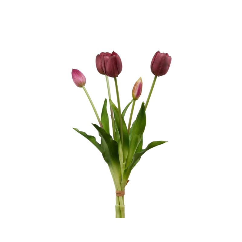 EDG Enzo De Gasperi Bouquet 5 Tulipani Olis Violet H 40 cm