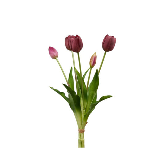 EDG Enzo De Gasperi Bouquet 5 Tulipani Olis Violet H 40 cm