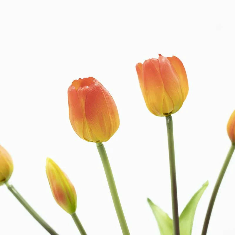 EDG Enzo De Gasperi Bouquet 5 Tulipani Olis Arancio-rosso H 40 cm