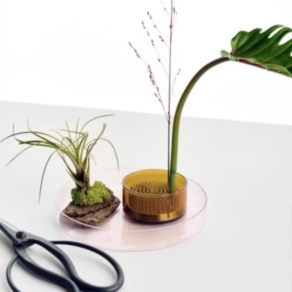 Ichendorf Kenzan set 3 pezzi: 2 vassoi in vetro + 1 flower frog in ottone by Denis Guidone