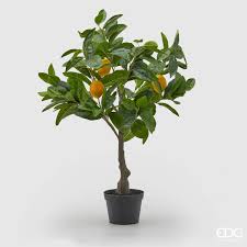 EDG Enzo De Gasperi pianta di Limoni Artificiale con Vaso H56 cm