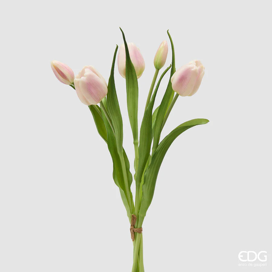 EDG Enzo De Gasperi Bouquet Tulipano Chiuso X4 H 40 Cm con Bocciolo Bianco Rosa
