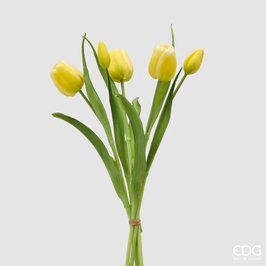 EDG Enzo De Gasperi Bouquet Tulipano Chiuso X4 H 40 Cm con Bocciolo Giallo
