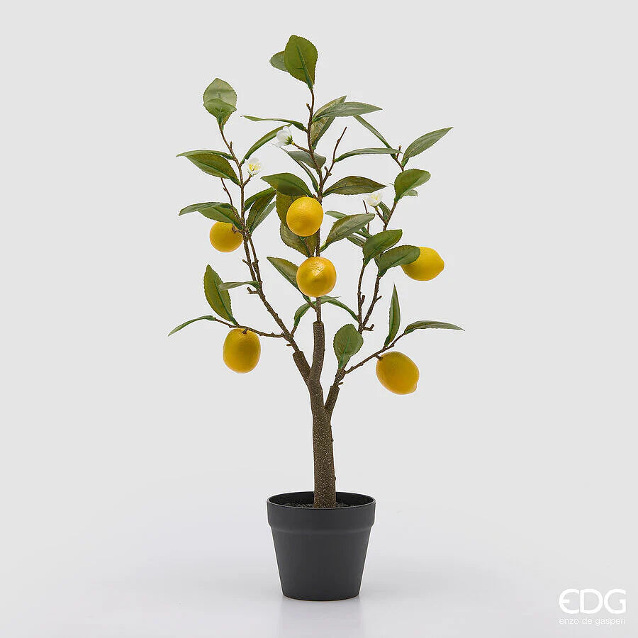 EDG Enzo De Gasperi Limone con Vaso e Foglie x6 Pianta Artificiale H 60 Cm