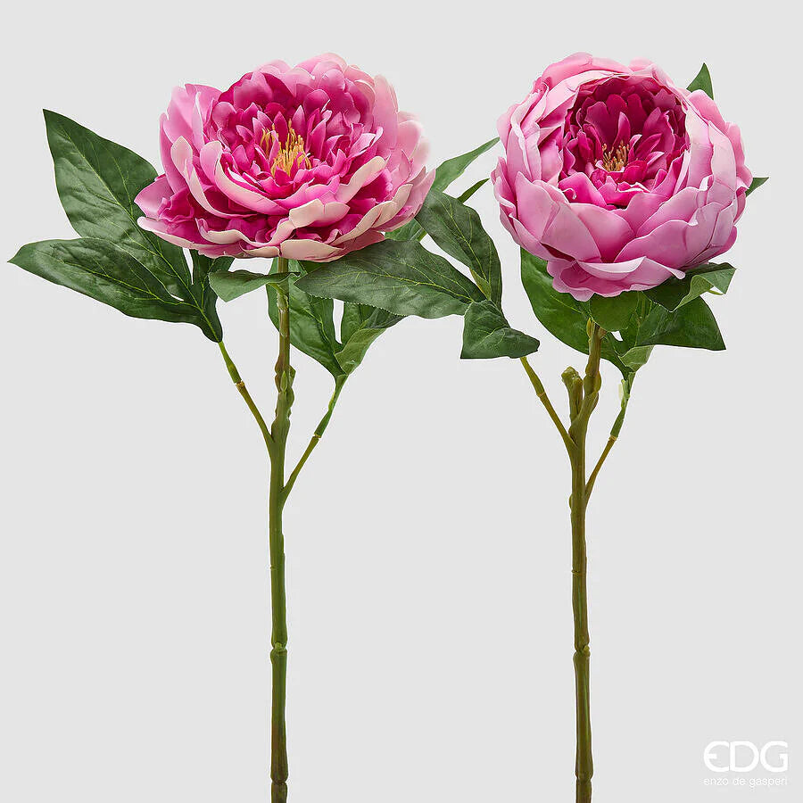 EDG Enzo De Gasperi Peonia Ramo con Foglie Ass. H 58 Cm Pianta Artificiale Rosa Antico 1 Pz