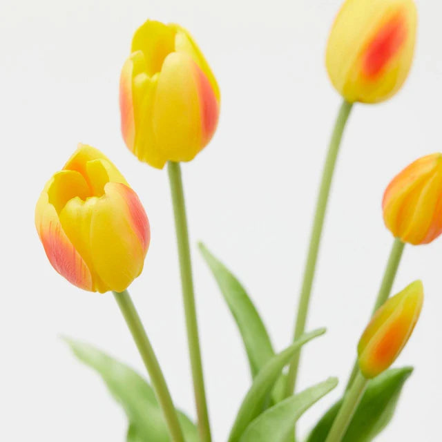 EDG Enzo De Gasperi Bouquet 5 Tulipani Olis Gialli-rosso H 40 cm