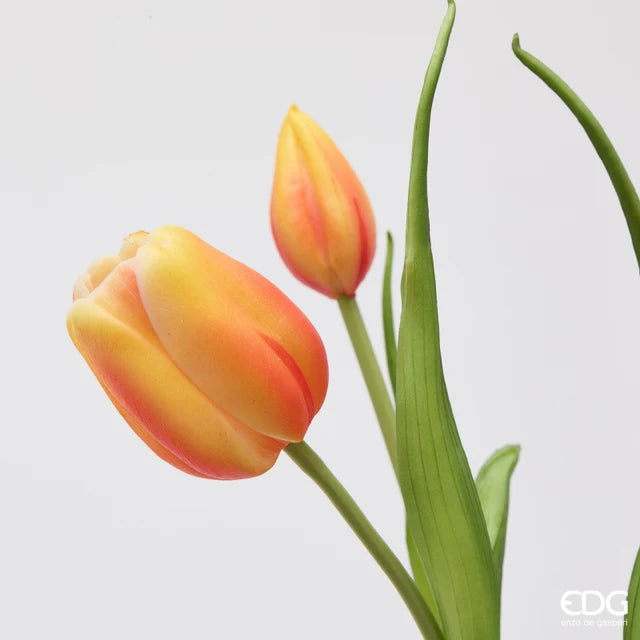 EDG Enzo De Gasperi Bouquet Tulipano Chiuso X4 H 40 Cm con Bocciolo Arancione