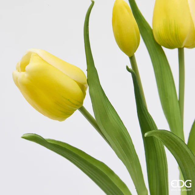 EDG Enzo De Gasperi Bouquet Tulipano Chiuso X4 H 40 Cm con Bocciolo Giallo