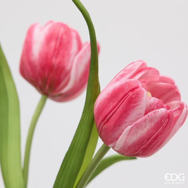 EDG Enzo De Gasperi Bouquet Tulipano Chiuso X4 H 40 Cm con Bocciolo Mauve
