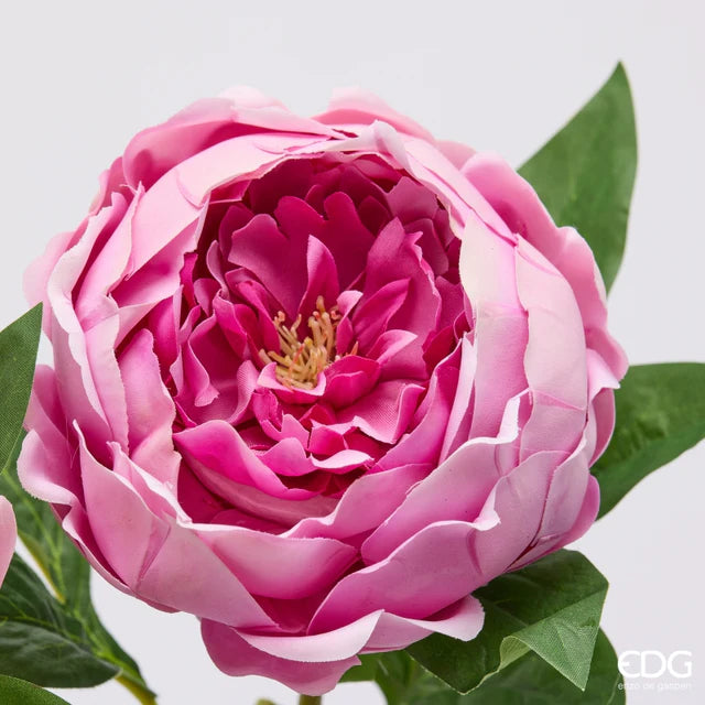 EDG Enzo De Gasperi Peonia Ramo con Foglie Ass. H 58 Cm Pianta Artificiale Rosa Antico 1 Pz
