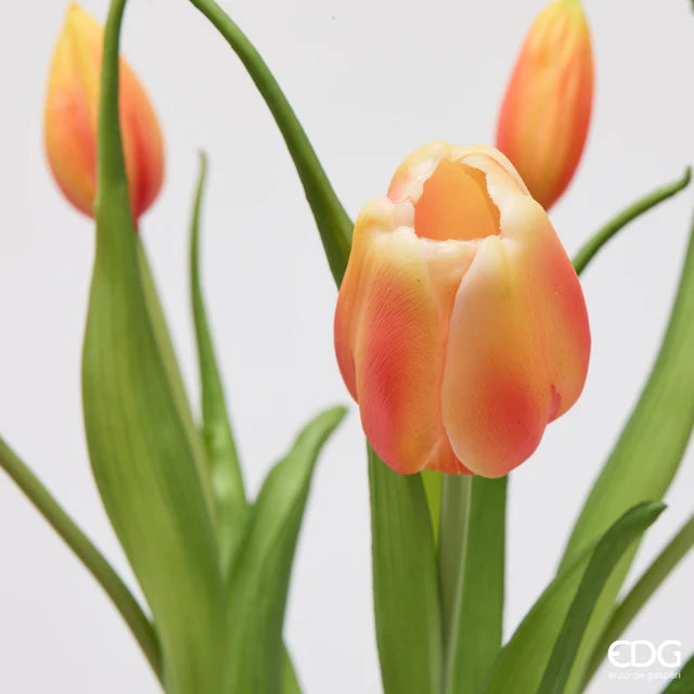 EDG Enzo De Gasperi Bouquet Tulipano Chiuso X4 H 40 Cm con Bocciolo Arancione