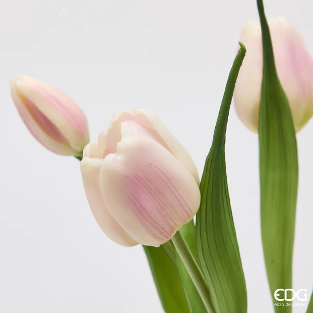 EDG Enzo De Gasperi Bouquet Tulipano Chiuso X4 H 40 Cm con Bocciolo Bianco Rosa
