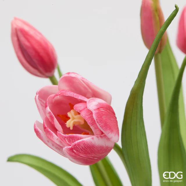 EDG Enzo De Gasperi Bouquet Tulipano Chiuso X4 H 40 Cm con Bocciolo Mauve