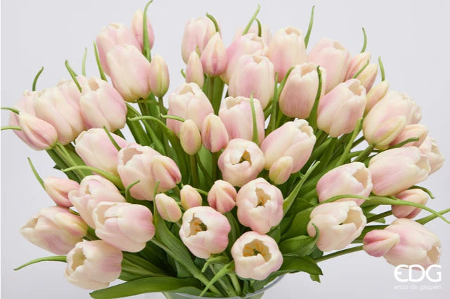 EDG Enzo De Gasperi Bouquet Tulipano Chiuso X4 H 40 Cm con Bocciolo Bianco Rosa