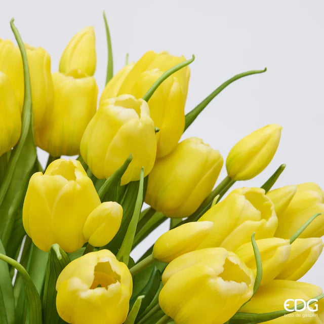 EDG Enzo De Gasperi Bouquet Tulipano Chiuso X4 H 40 Cm con Bocciolo Giallo