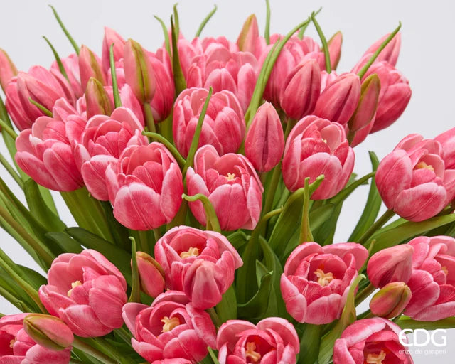 EDG Enzo De Gasperi Bouquet Tulipano Chiuso X4 H 40 Cm con Bocciolo Mauve