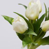 EDG Enzo De Gasperi Set 2 Bouquet Di Tulipani Rosa e Bianco H28 cm