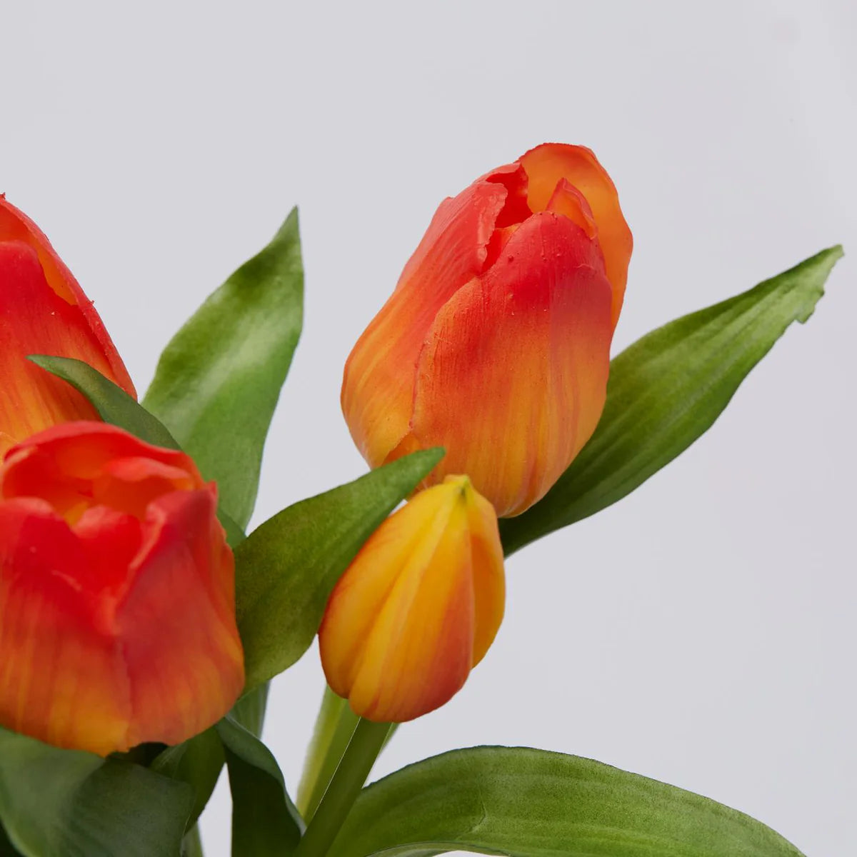 EDG Enzo De Gasperi Set 2 Bouquet Di Tulipani Giallo e Arancio H28 cm