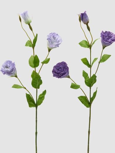 EDG Enzo De Gasperi Set 2 Rami di Lisiantus H71 cm Viola e Lilla