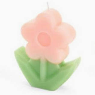 Nuvole di Stoffa Set 4 Candele tulipano in paraffina "Fiorirà" 4.8x2.5xH5.8 cm