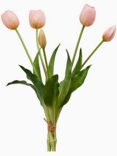 EDG Enzo De Gasperi Bouquet 5 Tulipani Olis Rosa Sfumato  H 40 cm