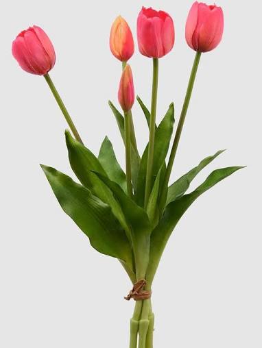 EDG Enzo De Gasperi Bouquet 5 Tulipani Olis Beauty  H 40 cm