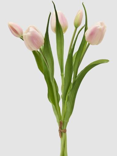 EDG Enzo De Gasperi Bouquet 5 Tulipani Olis Rosa Sfumato  H 40 cm