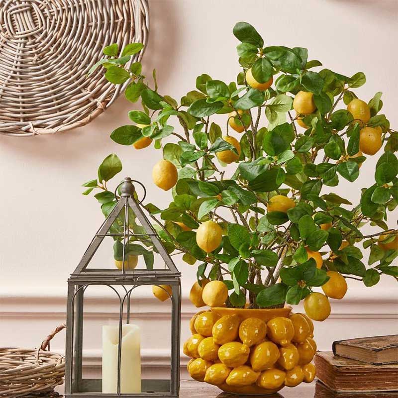 EDG Enzo de Gasperi Vaso Chakra Limoni H19 D28 cm